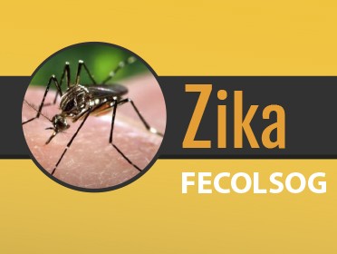Consideraciones Sobre Zika y Embarazo