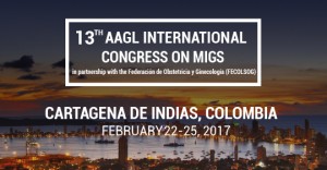 48 Reconocidos expertos internacionales – Congreso AAGL