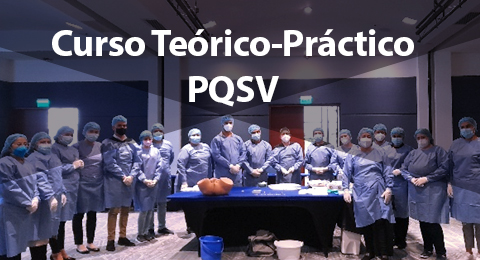 Curso Teórico-Práctico PQSV