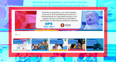 Proyecto atención de gestantes y sus recién nacidos, en el marco de la pandemia por Covid-19