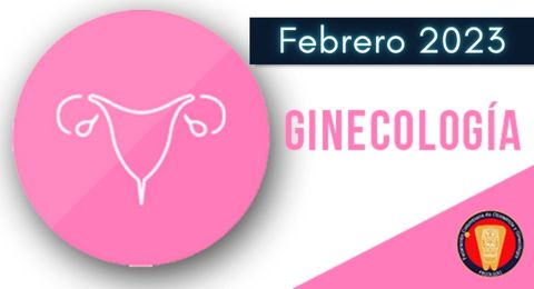 Progesterona vaginal micronizada para el tratamiento de las mujeres con hiperplasia endometrial sin atipias